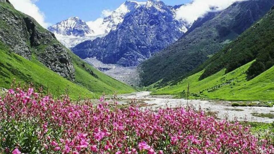वैली ऑफ फ्लावर्स के बारे में ये बातें जानते हैं आप ? : Valley of Flowers